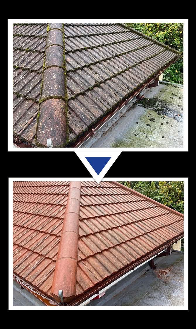 Close view of a clay tiled roof cleaned by Green-Ridge Roofing, guttering cleared